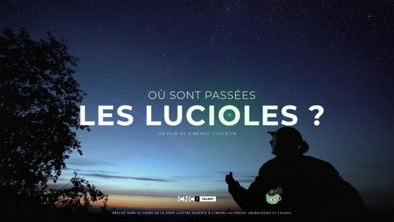 Où sont passées les lucioles ?