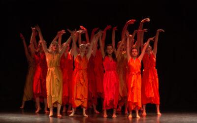 Gala de Temps Danse 65 : « Les Quatre saisons »