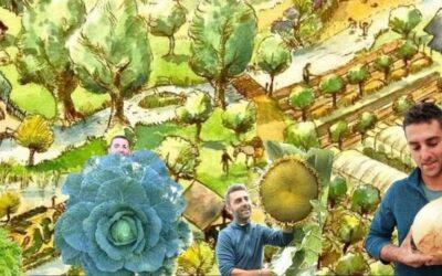 Conférence « A la découverte de la Permaculture »  par Loïc Etcheberry