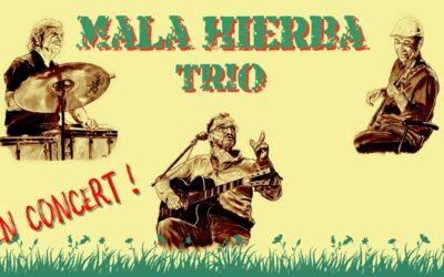 Concert Brassens par  Le trio Mala Hierba, « Le bon maître nous le pardonne »