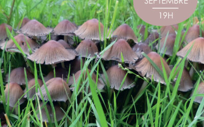 conférence le monde secret des champignons